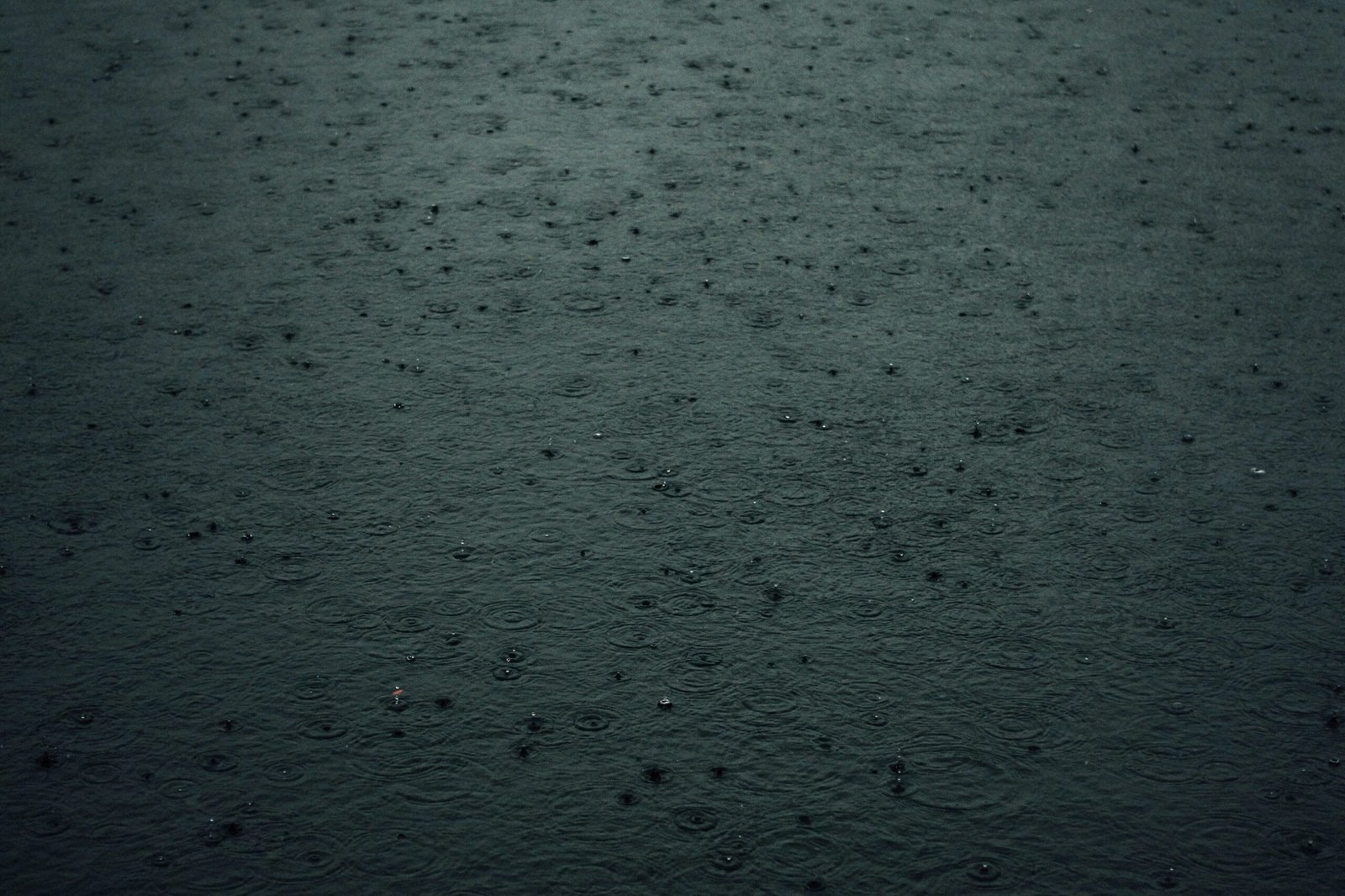 Photo by Tim Foster on Unsplash